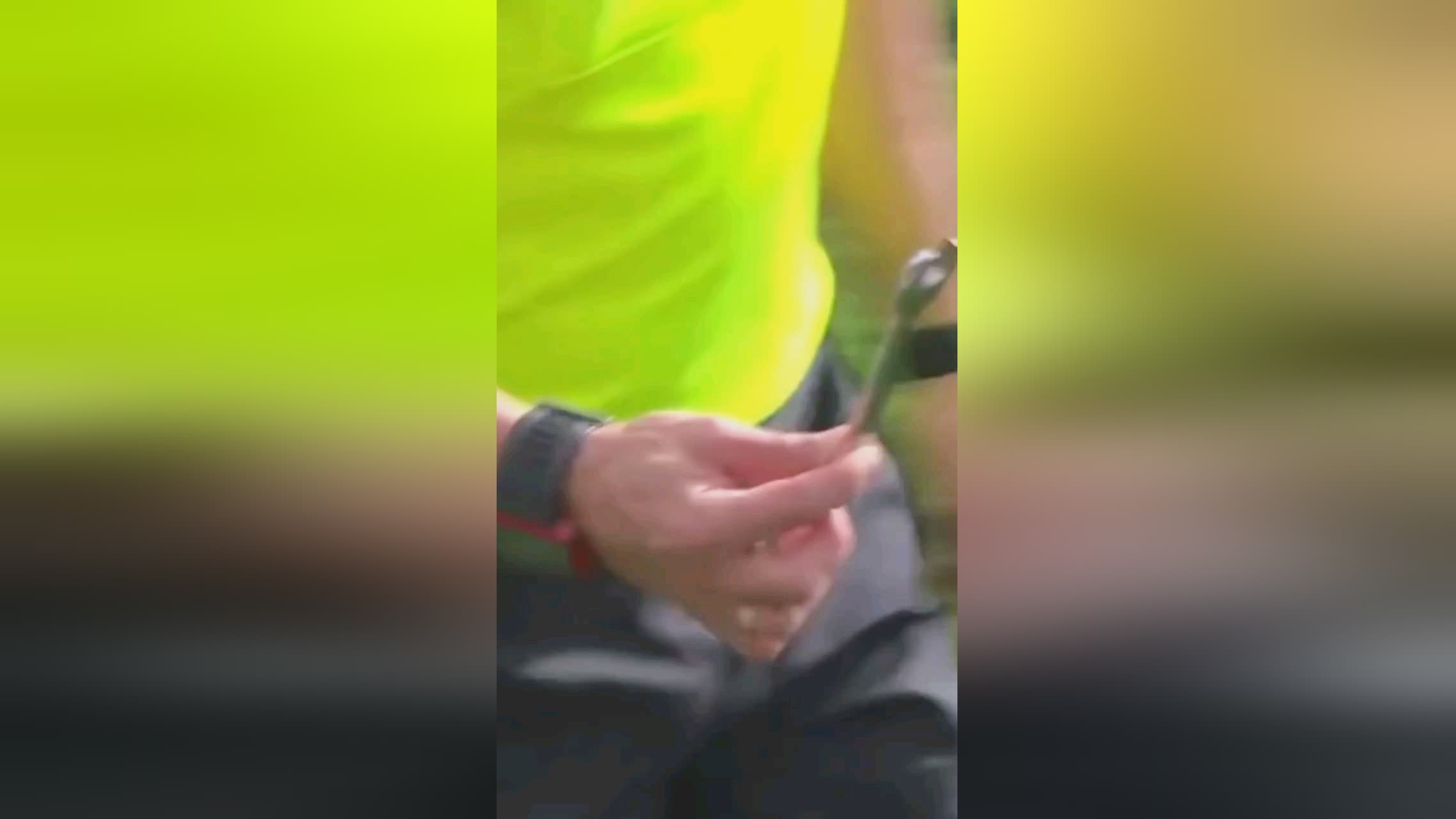 纪录这不仅